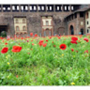 Meet your Posher, Carolyn